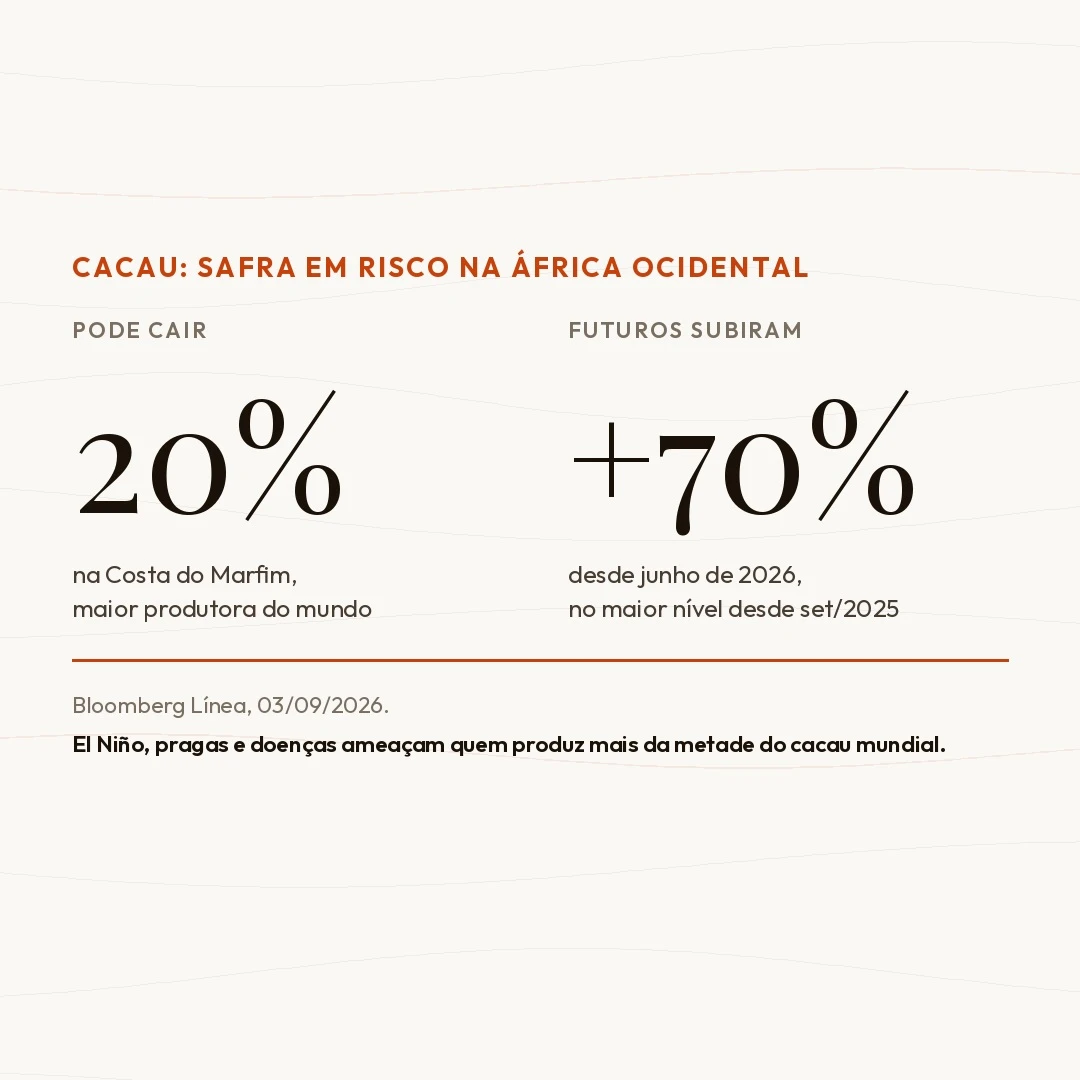 Costa do Marfim pode perder 20% da safra de cacau; El Niño e pragas ameaçam a África Ocidental