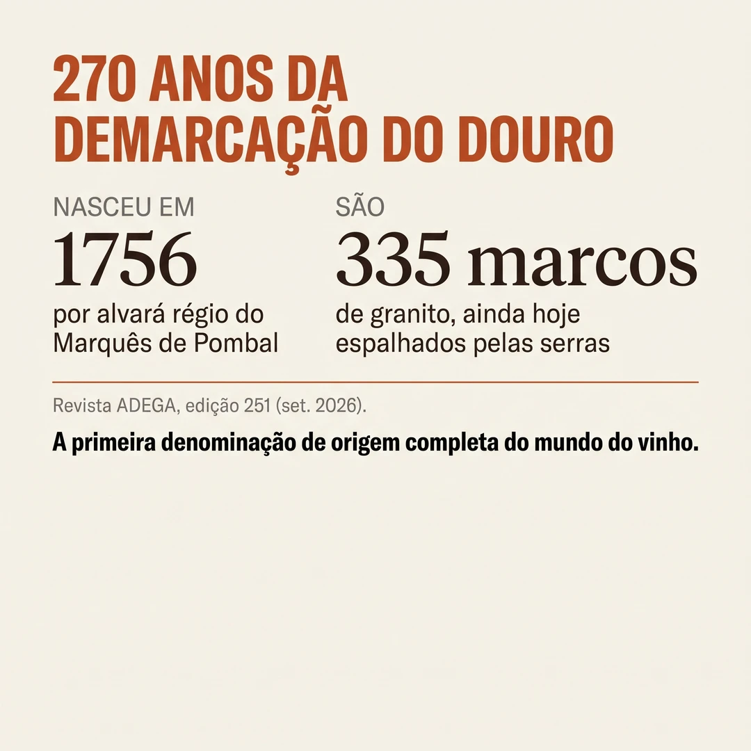 270 anos da demarcação do Douro: como uma crise de fraude criou o modelo que hoje se chama denominação de origem