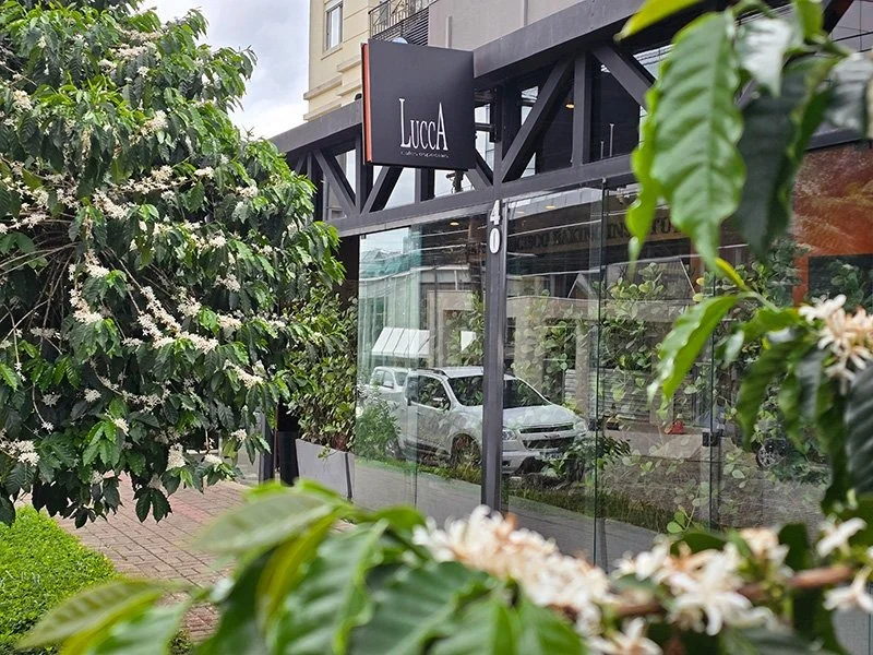 Lucca Cafés Especiais, de Curitiba, é a cafeteria brasileira mais bem colocada no ranking sul-americano 2026