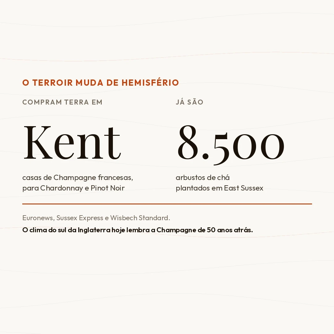 Quando o Sul se Muda para o Norte: o Novo Mapa do Vinho Inglês e o Colapso da Ideia de Terroir